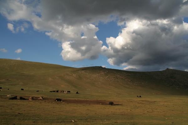 Planete Insuline en Mongolie 10