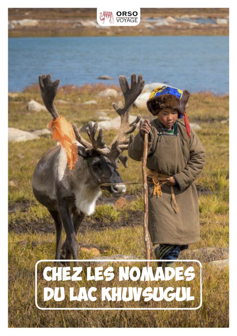 Chez les éleveurs de rennes en Mongolie du nord