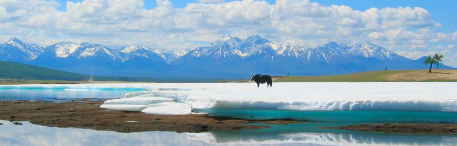 Vivre auprès des éleveurs de renne de Mongolie