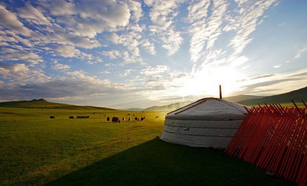 Grand tour de la Mongolie du sud au nord