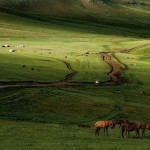 Grande Mongolie Du désert de Gobi à la Taïga sibérienne – 21 Jours