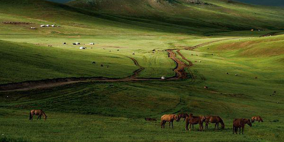 Grande Mongolie Du désert de Gobi à la Taïga sibérienne – 21 Jours