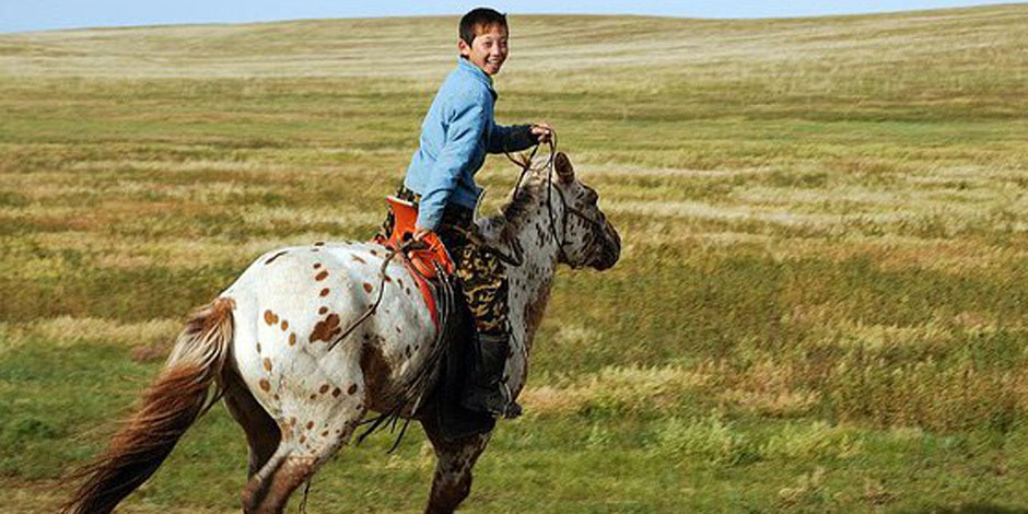 <a href=http://orso-voyage-mongolie.com/le-cheval-mongol style=color:#fff;>Le Cheval Mongol</a>