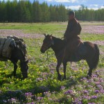 Khenti, pays sauvage, faune et flore de la Mongolie – 16 Jours