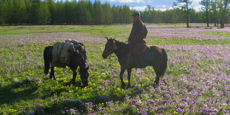 Khenti, pays sauvage, faune et flore de la Mongolie – 16 Jours