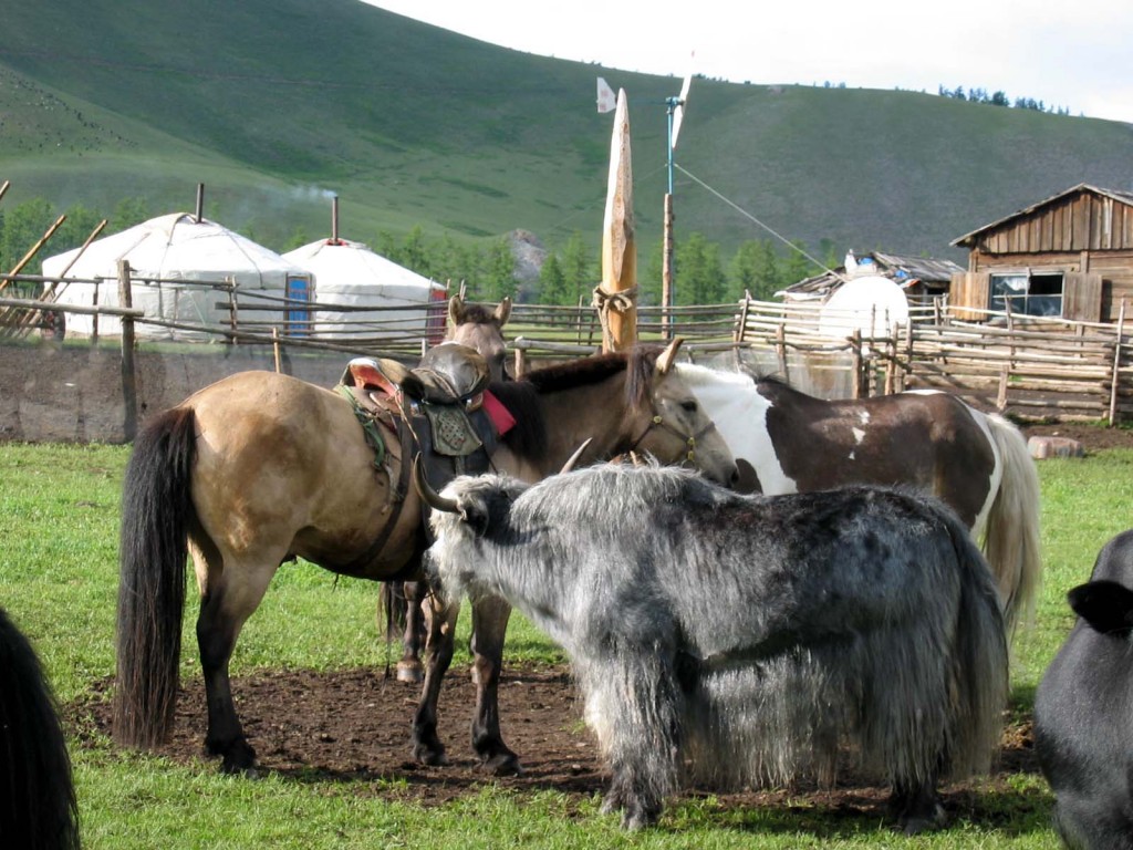 Grand tour de la Mongolie du sud au nord 24 jours