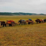 Chez les nomades de Mongolie du lac Khuvsugul – 16 Jours