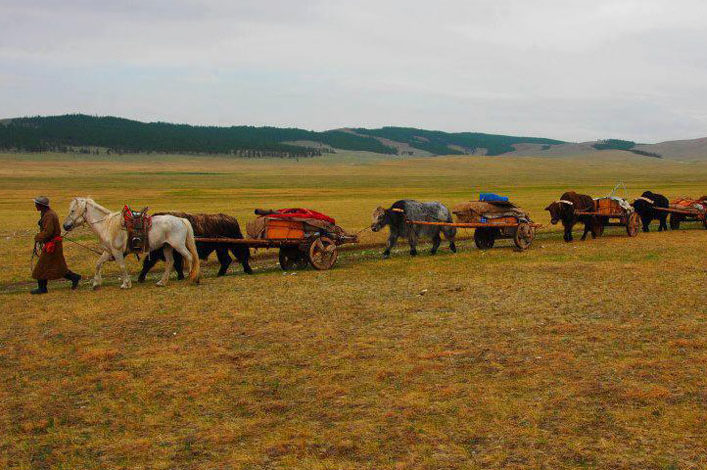 Caravane des nomades de Mongolie