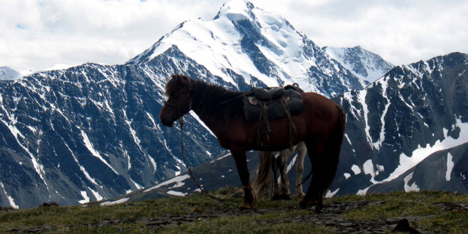 Trek Altai