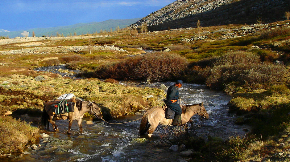 Palfrenier en Mongolie