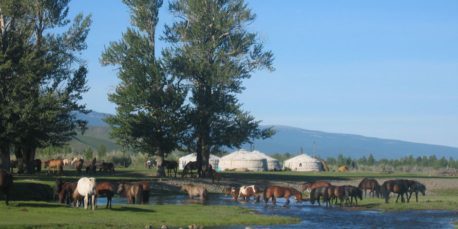 Voyage à cheval en Mongolie 