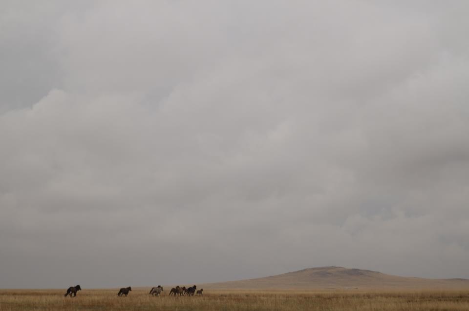 Dunes chantantes de Khongor