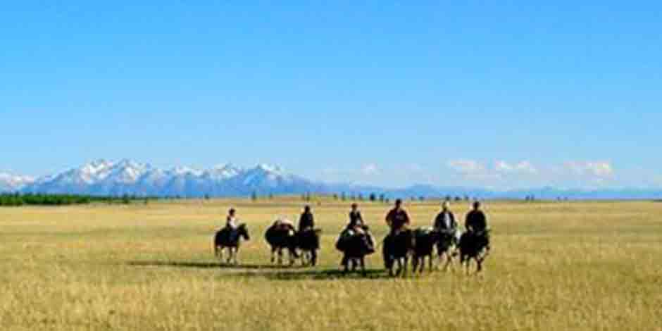 Randonnée dans UVS, Massifs du sud de la Sibérie mongole