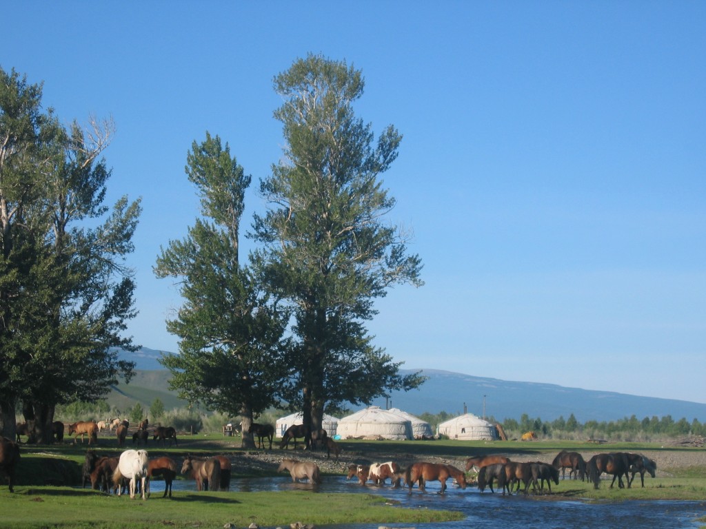 Voyage à cheval Mongolie centrale